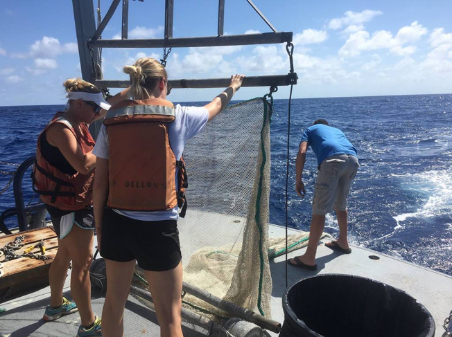 Dr. Heather Bracken Grissom deploying a pelagic trawl net during an at sea field course.