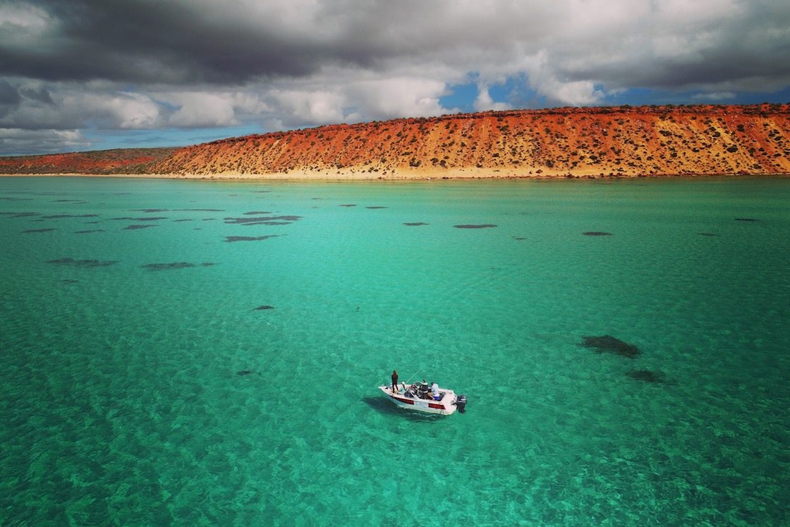 Dolphin researcher Simon Allen took this spectacular shot from a drone, showing one of our research boats following a dolphin in the spectacular setting of Shark Bay. 