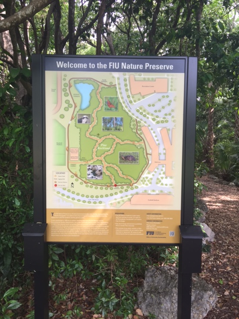 Nature Preserve | Ignite | Florida International University | FIU