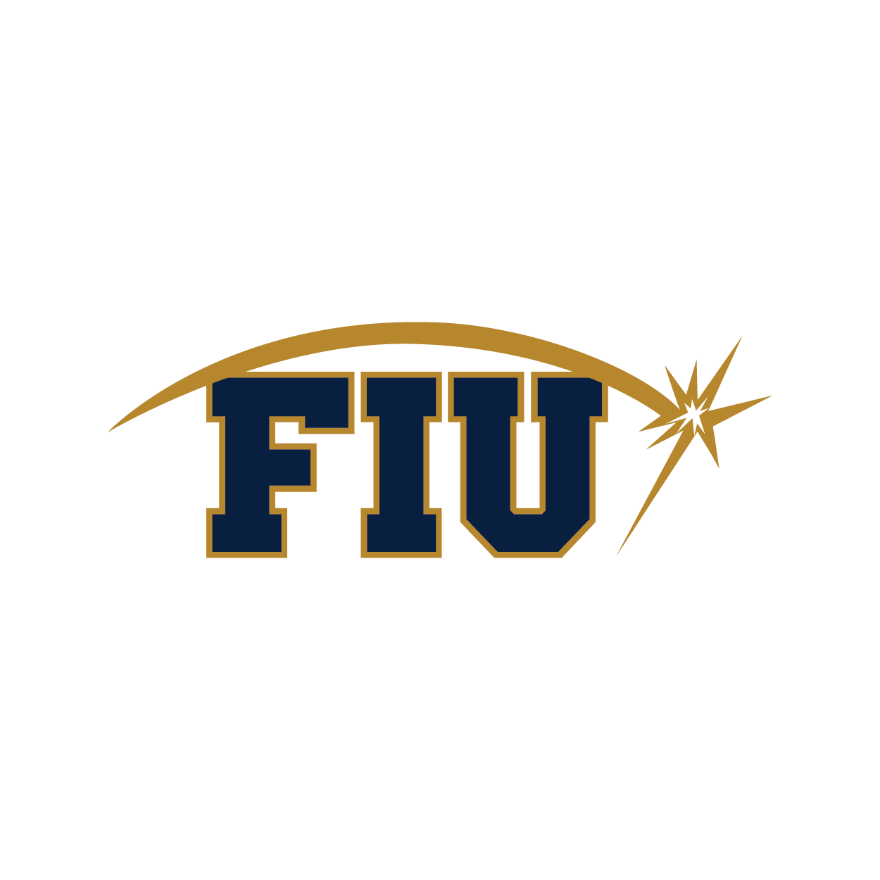 The pin for 2012 was a navy blue FIU with a gold spark over it