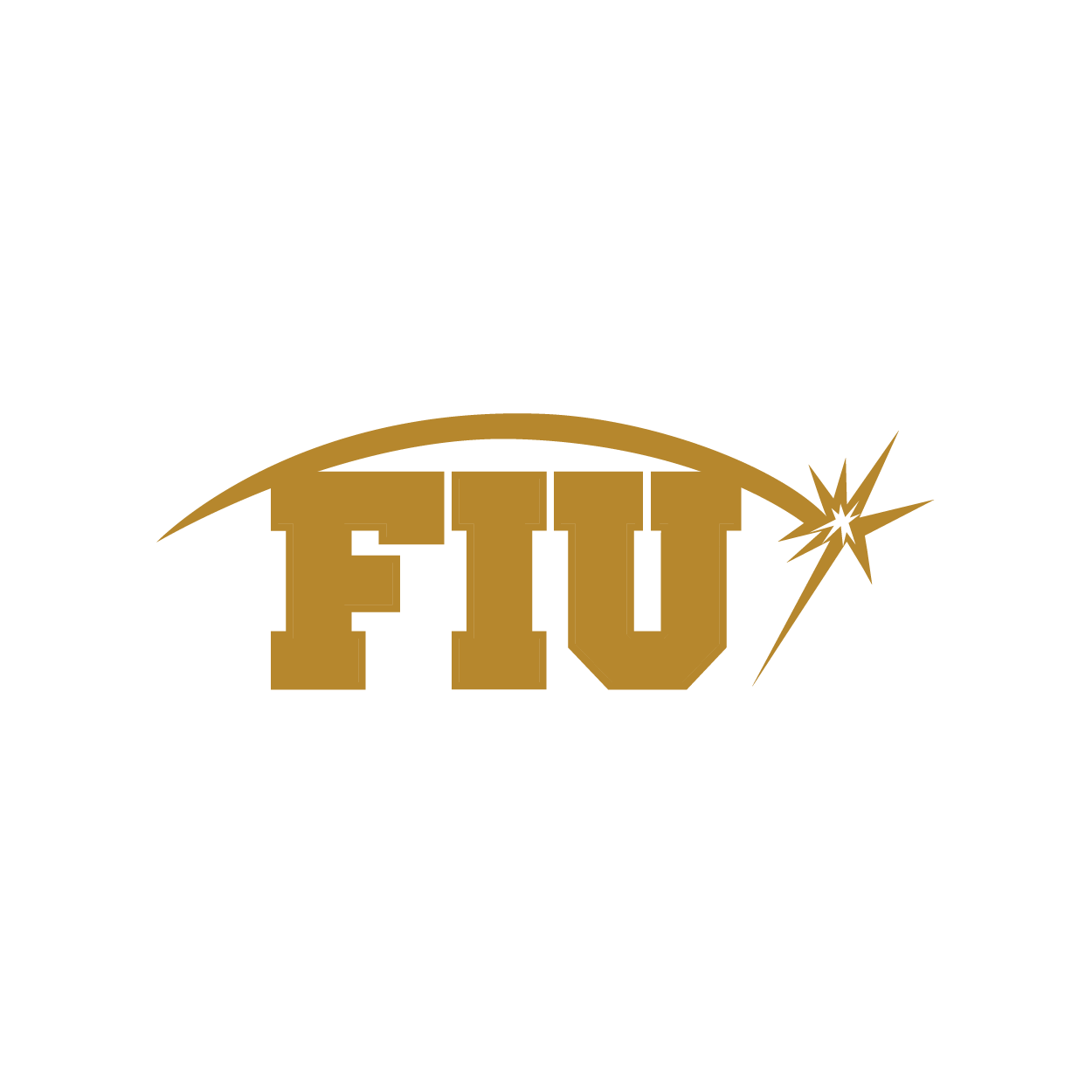 The pin for 2014 was a solid gold FIU with a gold spark over it