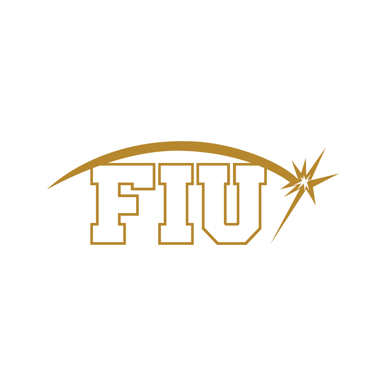The pin for 2015 was a white FIU with a gold spark over it