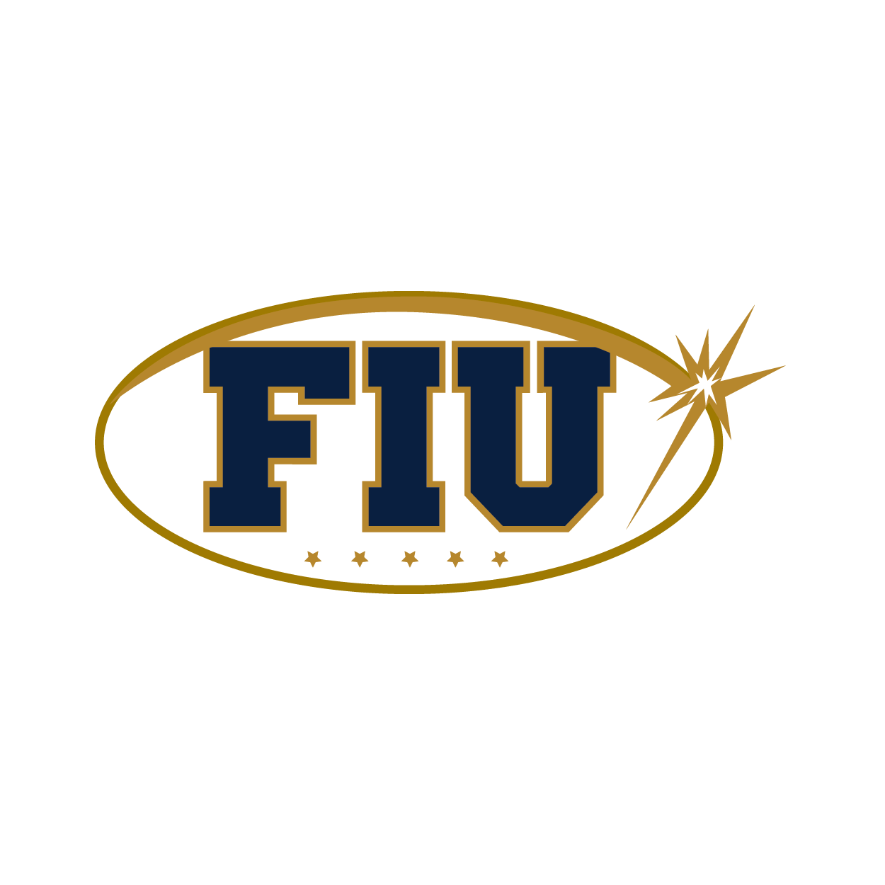 2016 had 2 pins, this pin is a white oval with fiu in navy blue in the center and with a gold spark over it and below the fiu are 5 gold stars