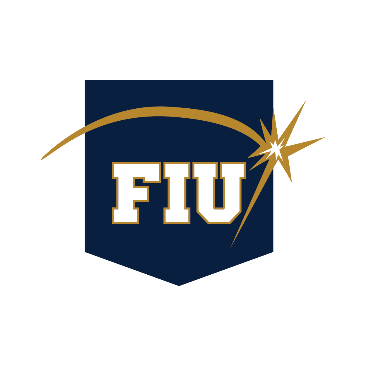 The 2017 pin is a shield shape in navy blue with FIU in the center in white and with a gold spark over it 