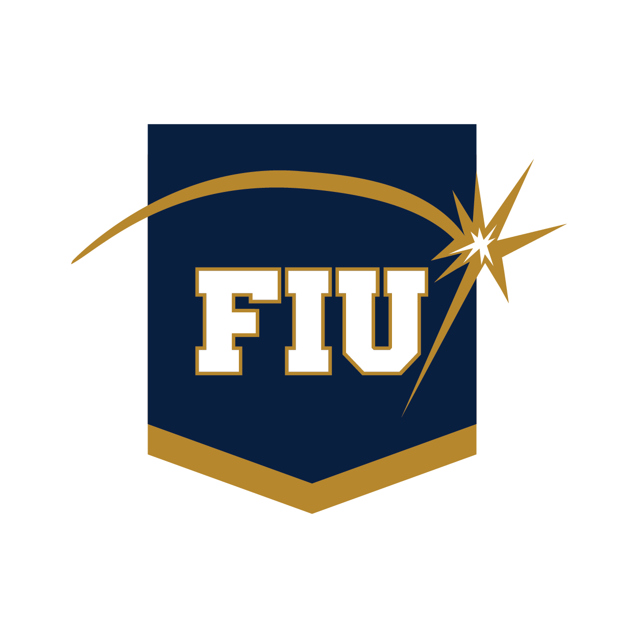 The 2018 pin is a shield shape in navy blue with FIU in the center in white and with a gold spark over it, at the bottom there is a gold outline of the shield