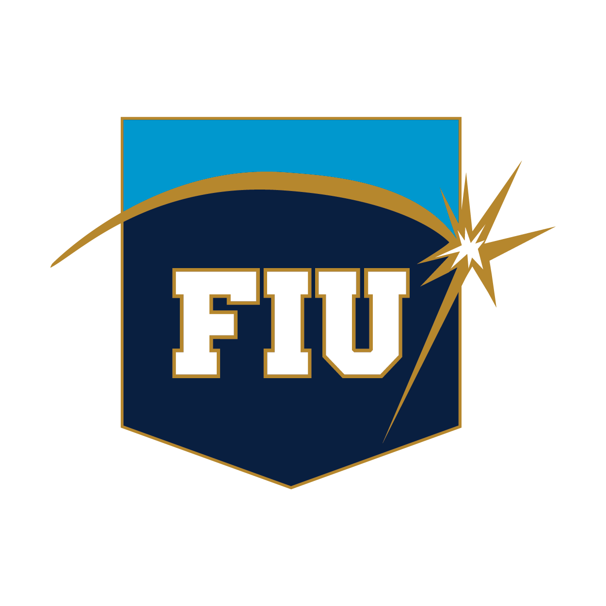 The 2019 pin is a shield shape in navy blue with FIU in the center in white and with a gold spark over it, at the top of the pin part of the shield shape is in sky blue