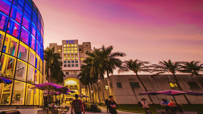 The FIU library washed in purple and blue hues from the sunset as students walk past the walkway covered in palms